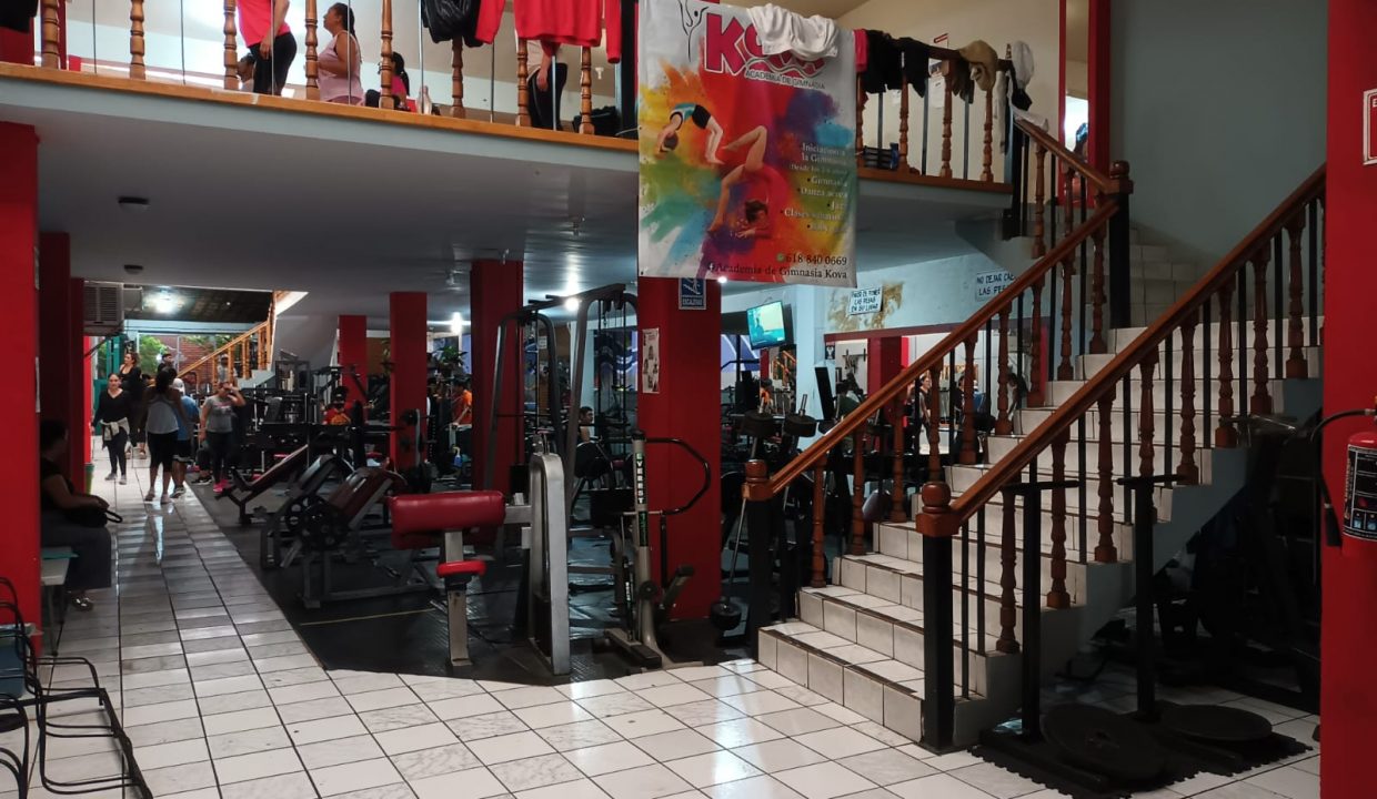 gym5