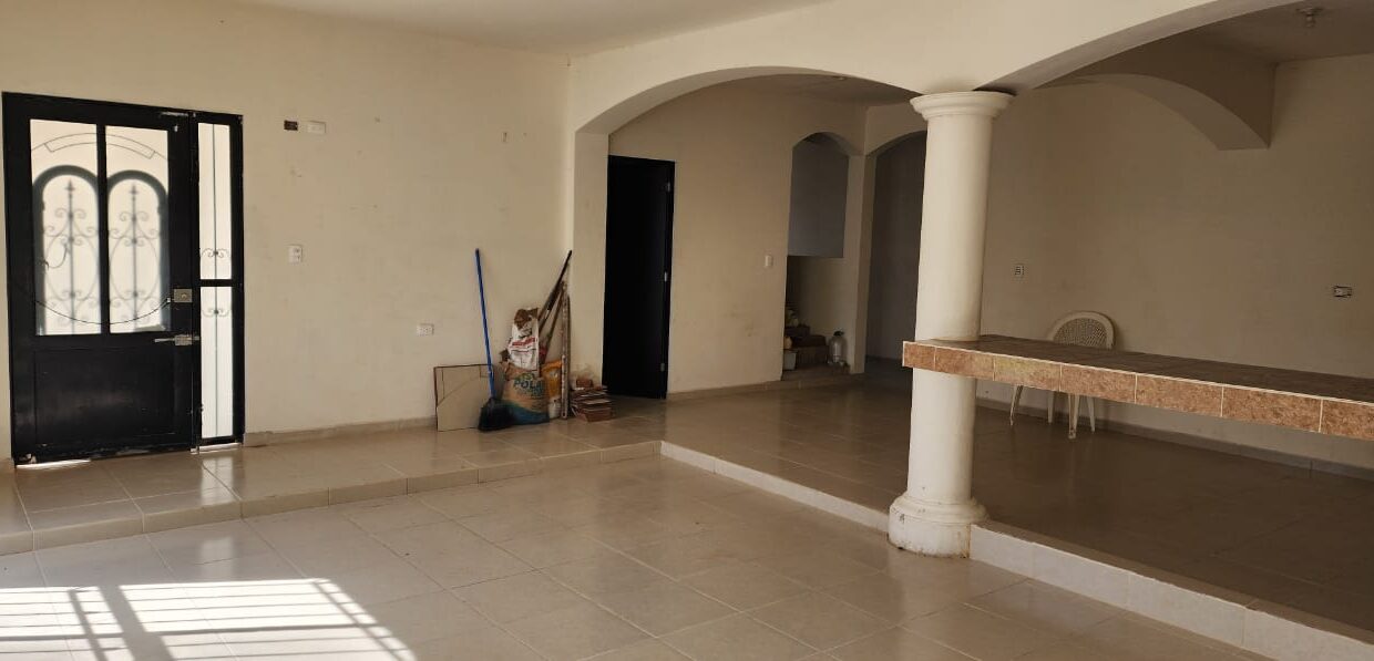 IMG-20250313-WA0017