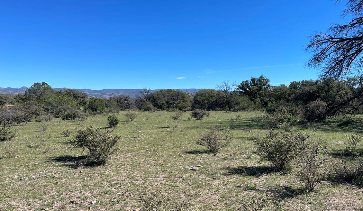 WhatsApp Image 2024-12-05 at 10.28.37 AM