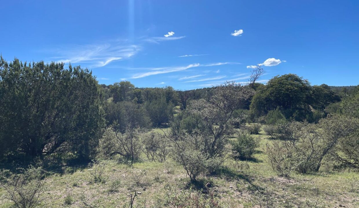 WhatsApp Image 2024-12-05 at 10.28.38 AM (1)