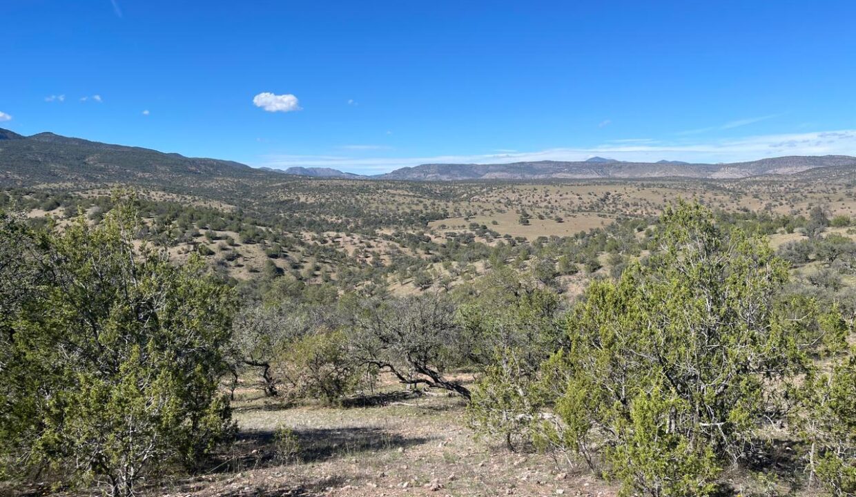 WhatsApp Image 2024-12-05 at 10.28.38 AM