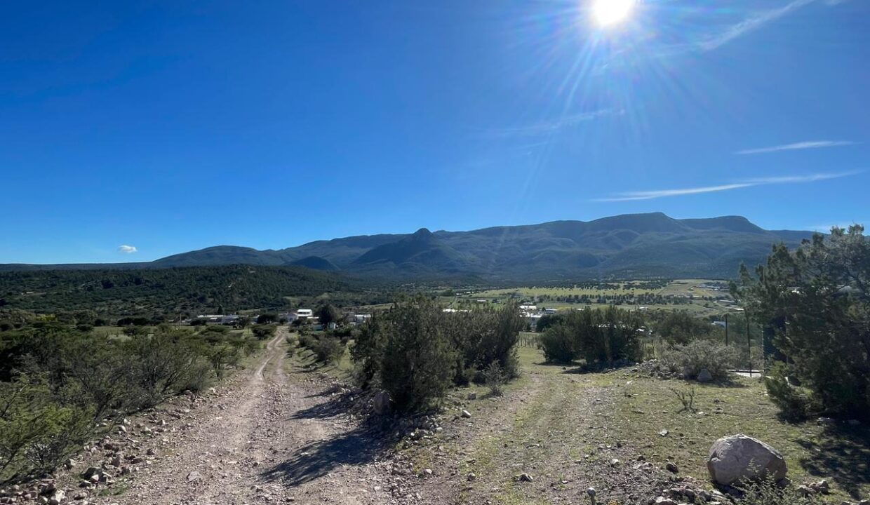 WhatsApp Image 2024-12-05 at 10.28.38 AM (2)