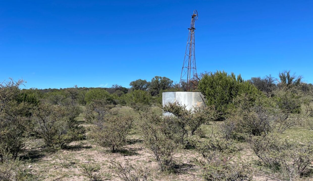 WhatsApp Image 2024-12-05 at 10.28.38 AM (3)