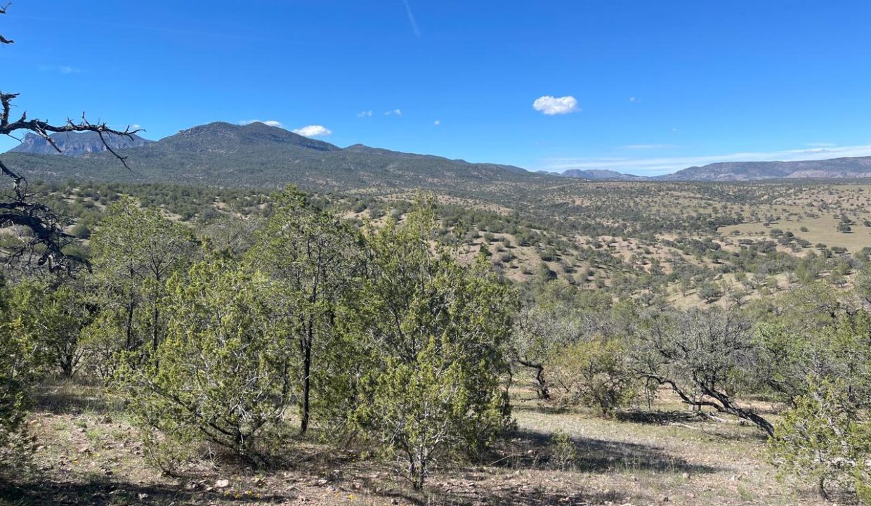 WhatsApp Image 2024-12-05 at 10.28.38 AM (4)