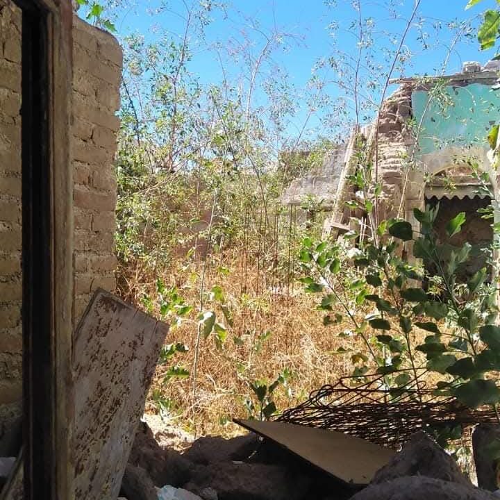 WhatsApp Image 2025-11-19 at 4.18.31 PM (2)