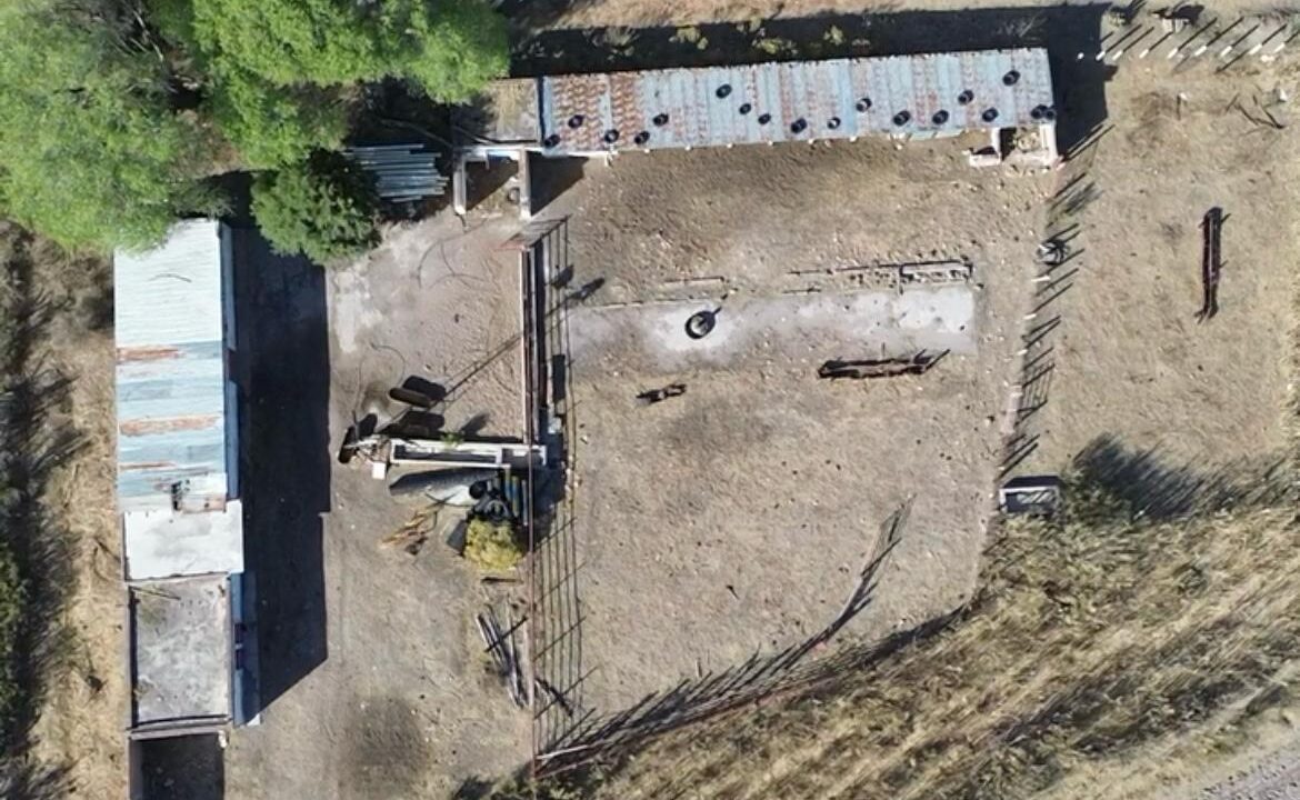 WhatsApp Image 2025-12-06 at 1.09.57 PM (1)