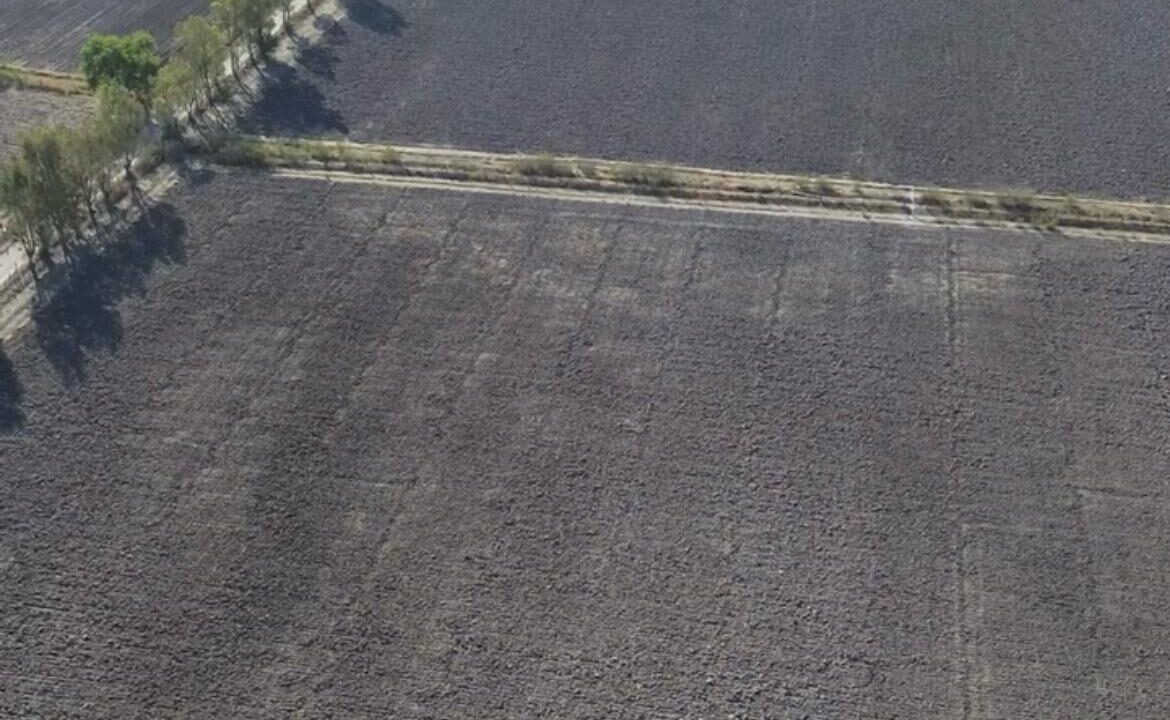 WhatsApp Image 2025-12-06 at 1.09.57 PM (2)