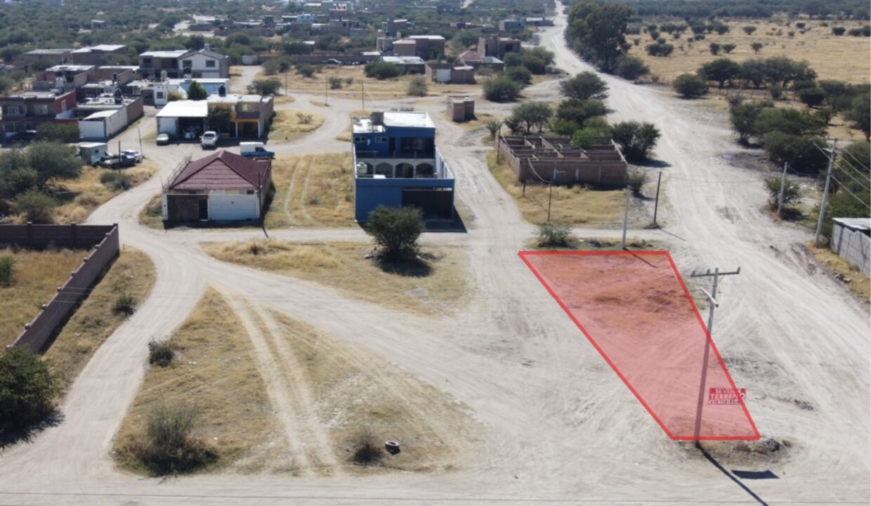 WhatsApp Image 2026-01-19 at 3.00.15 PM