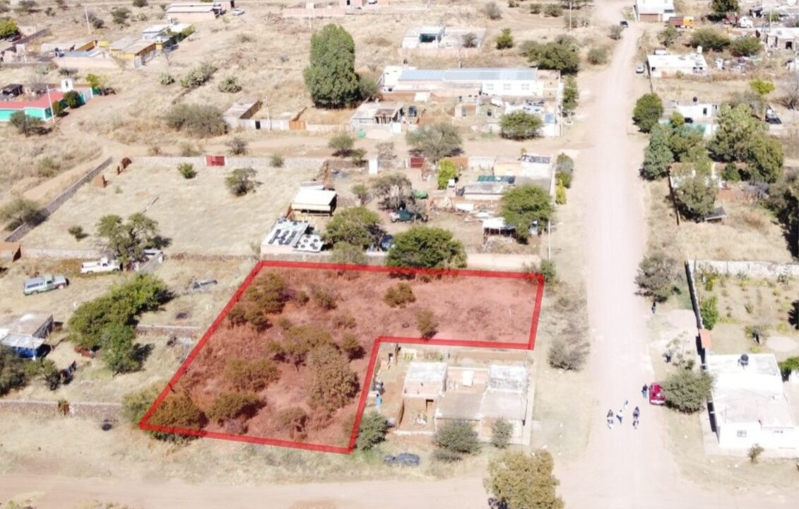 WhatsApp Image 2026-01-27 at 4.23.27 PM