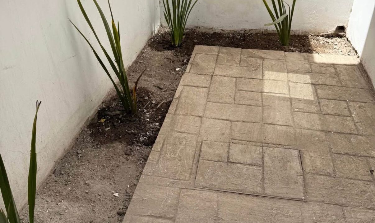 WhatsApp Image 2026-02-26 at 4.35.14 PM (2)