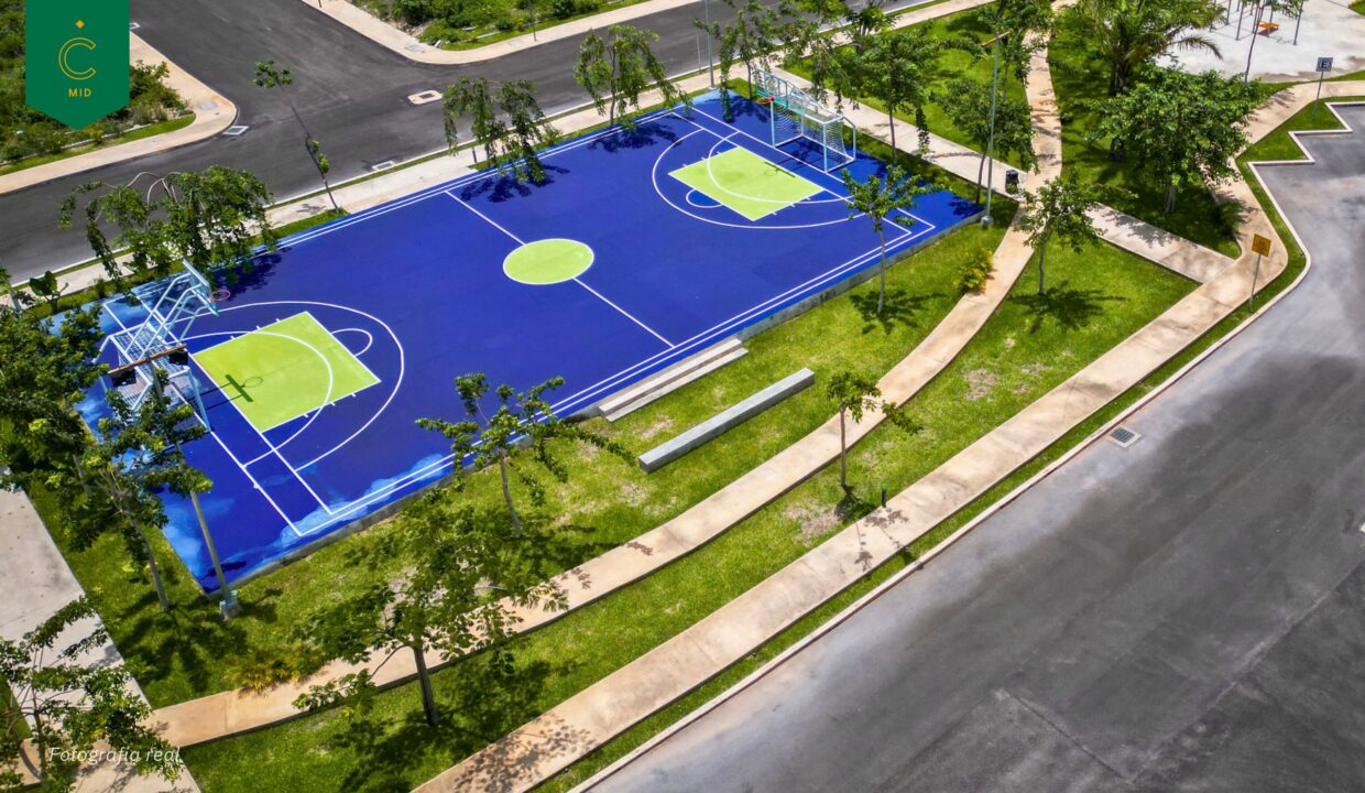 BROCHURE CAMELIA 2026-part-13_page-0001