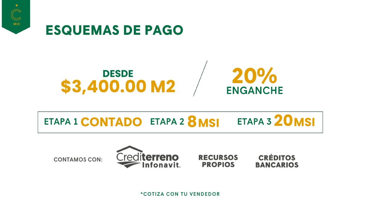 BROCHURE CAMELIA 2026-part-15_page-0001