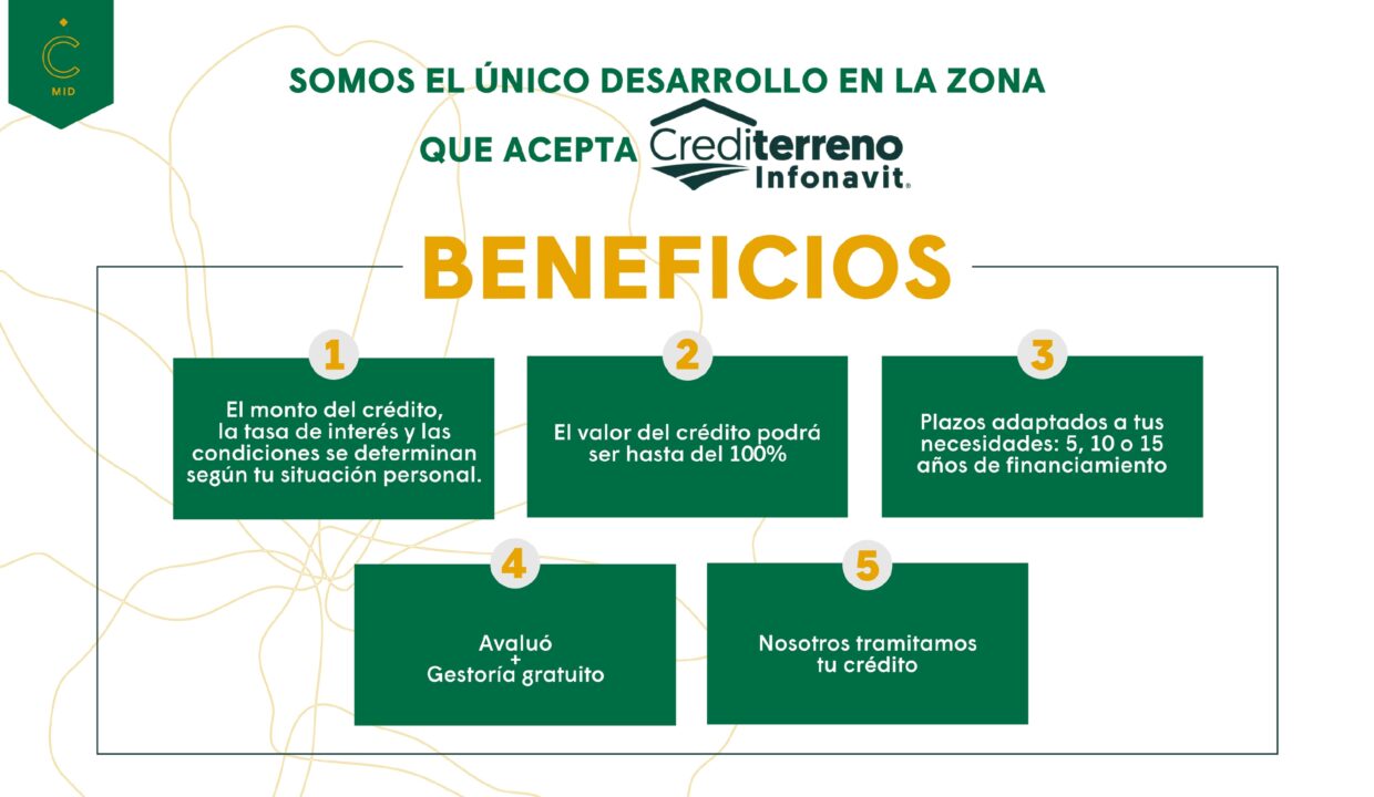 BROCHURE CAMELIA 2026-part-16_page-0001