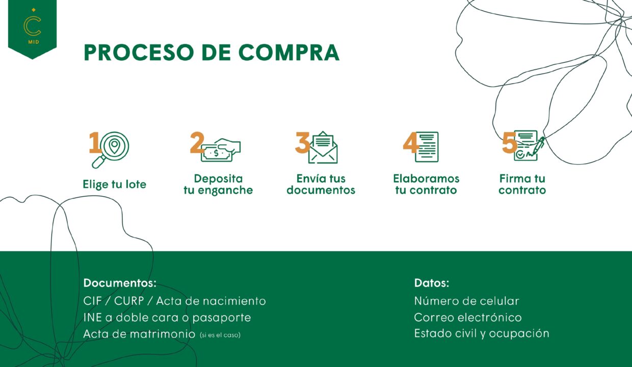 BROCHURE CAMELIA 2026-part-17_page-0001