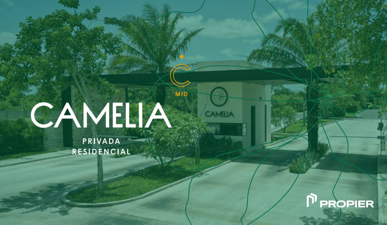 BROCHURE CAMELIA 2026-part-1_page-0001