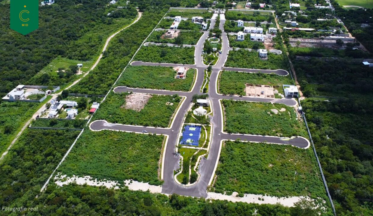 BROCHURE CAMELIA 2026-part-3_page-0001