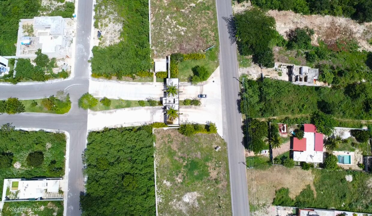 BROCHURE CAMELIA 2026-part-4_page-0001