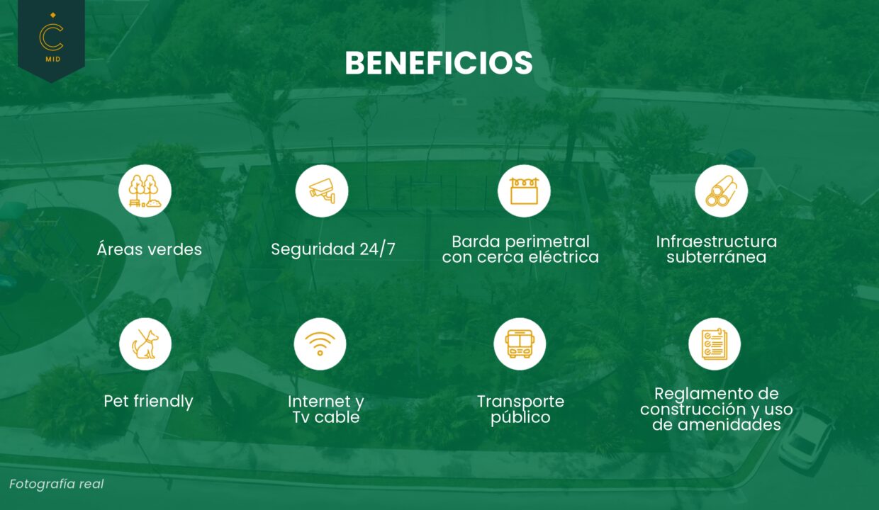 BROCHURE CAMELIA 2026-part-8_page-0001