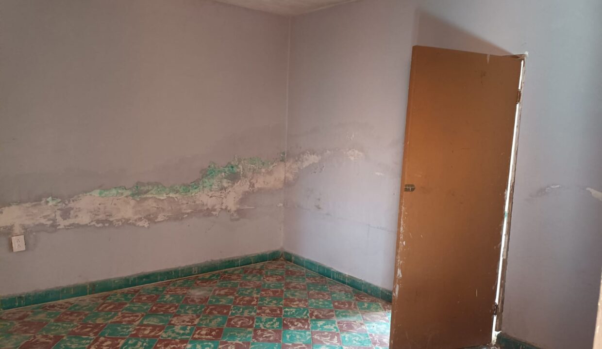 IMG-20260206-WA0046