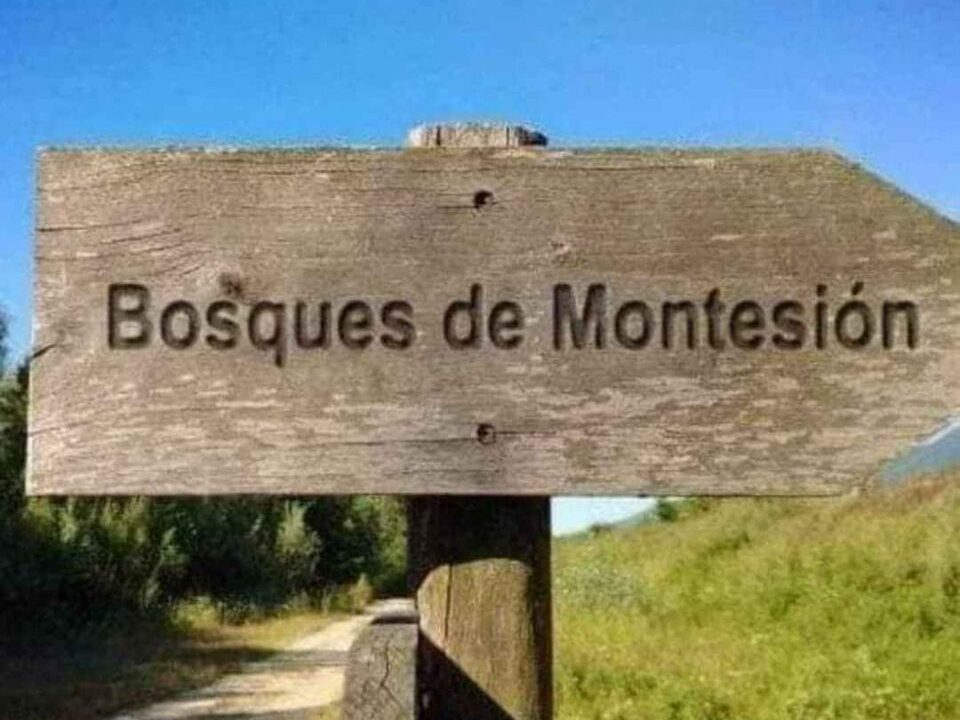 Montesion 2