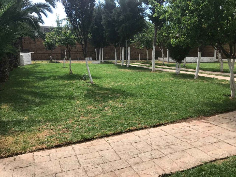 Quinta Fresn 6